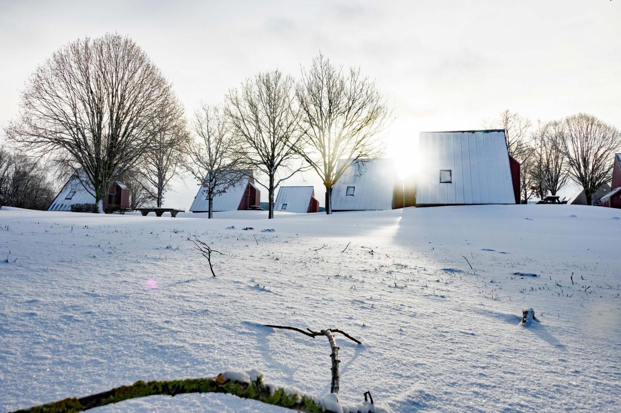 Zentrum Worriken Holiday Cottages Butgenbach Dış mekan fotoğraf
